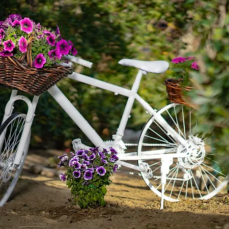 Appartamento Aggeliki