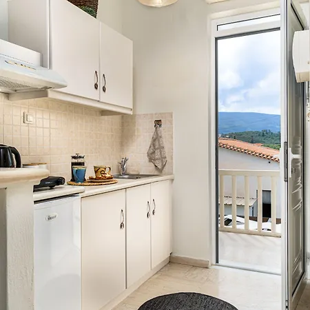 公寓 阿格里克一室公寓 *